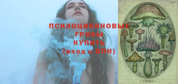 МДПВ Алексин