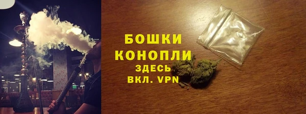 трава Белокуриха