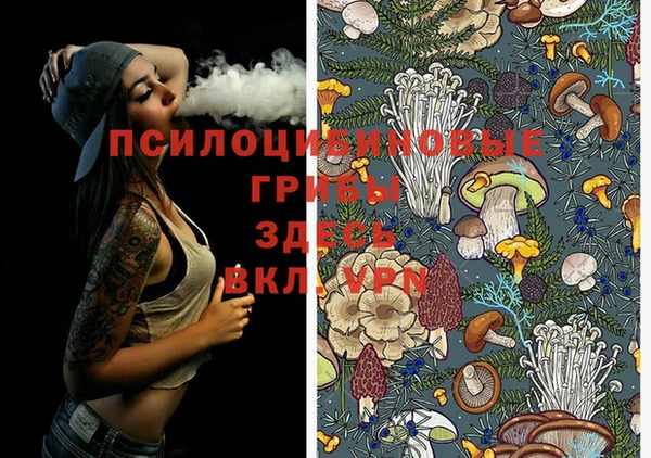 трава Белокуриха