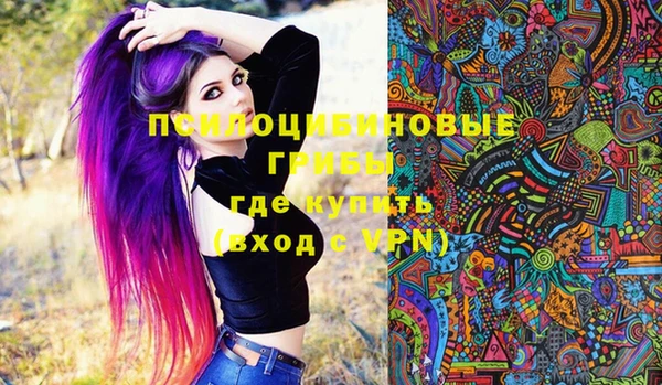 трава Белокуриха
