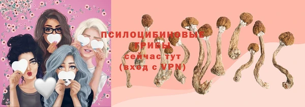 дживик Беломорск