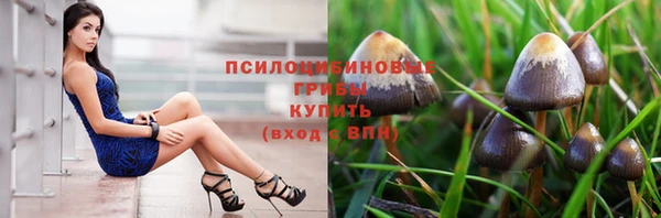 дживик Беломорск