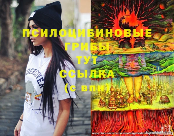 индика Белоозёрский