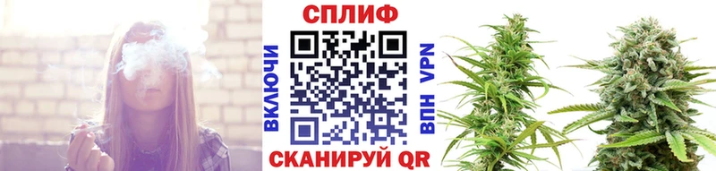 Шишки марихуана гибрид MEGA вход Кондрово